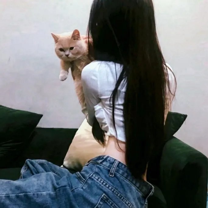 他们在相爱